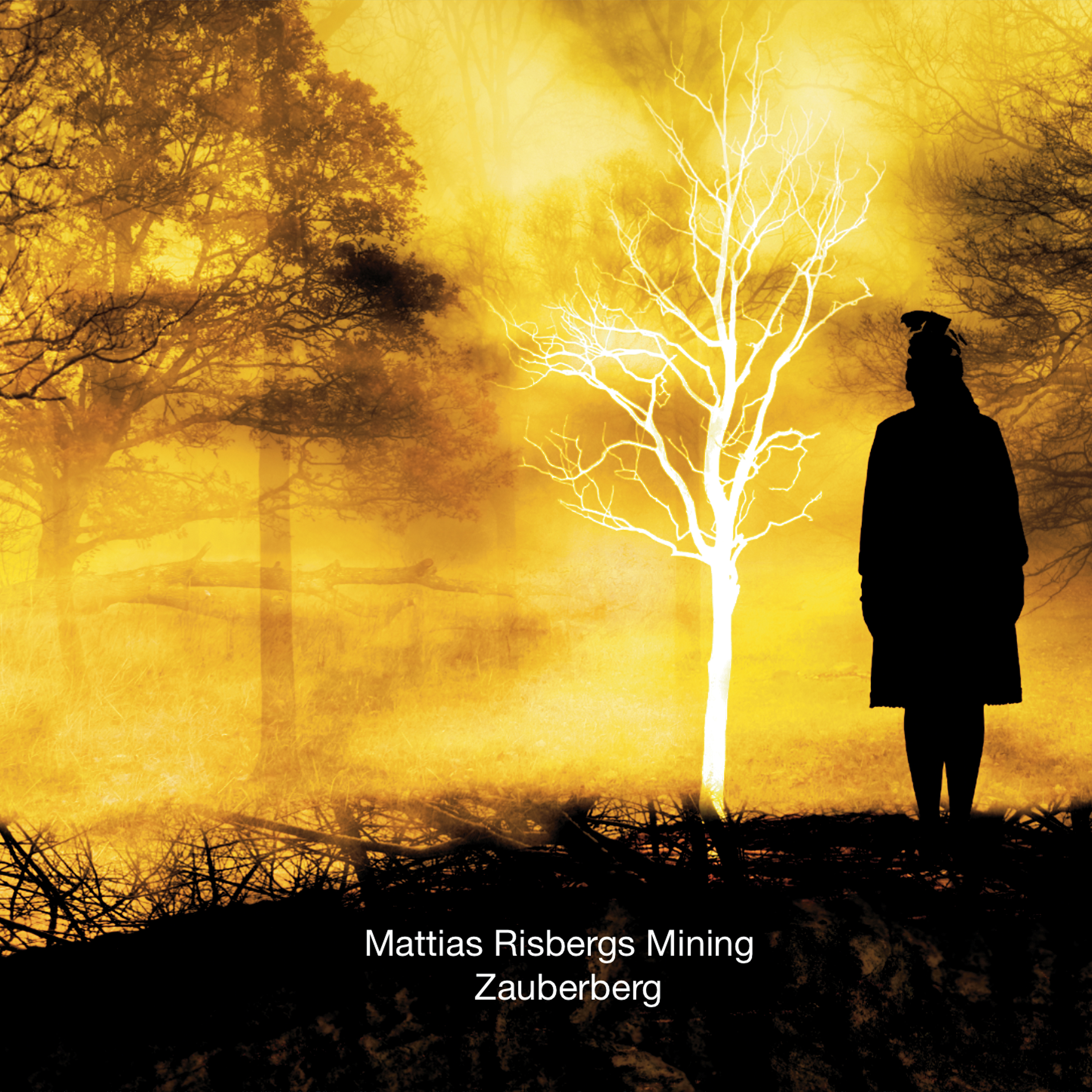 Mattias Risbergs Mining: Zauberberg (Vinyl. LP)