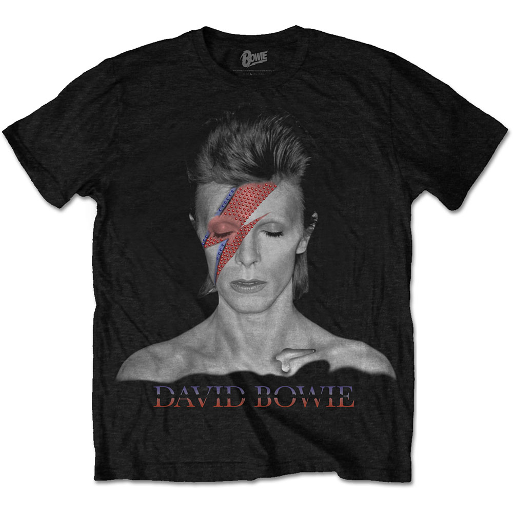 David Bowie Unisex T-Shirt: Aladdin Sane (X-Large) - 2
