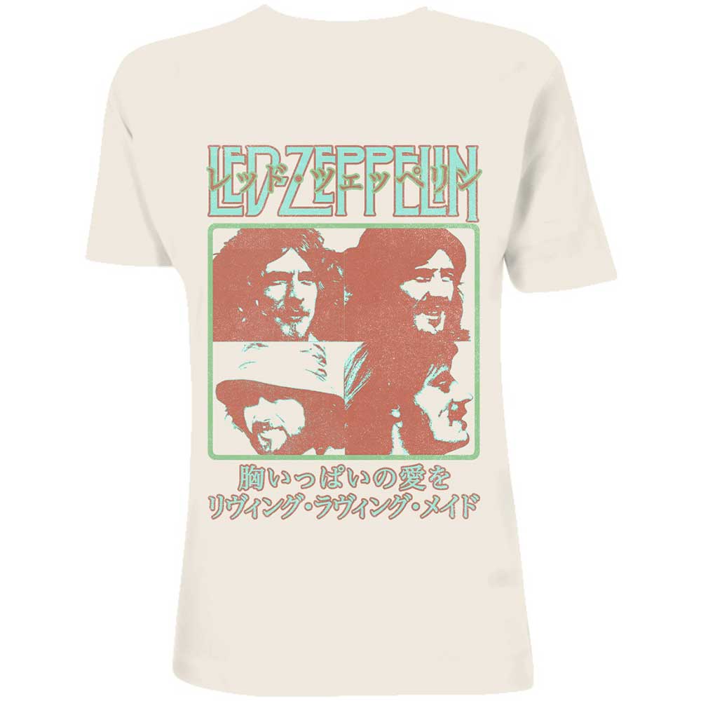 Led Zeppelin Unisex T-Shirt: Japanese Poster (Small)