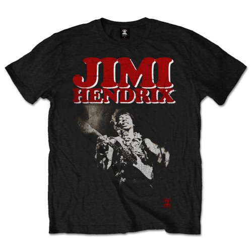 Jimi Hendrix Unisex T-Shirt: Block Logo (XX-Large)