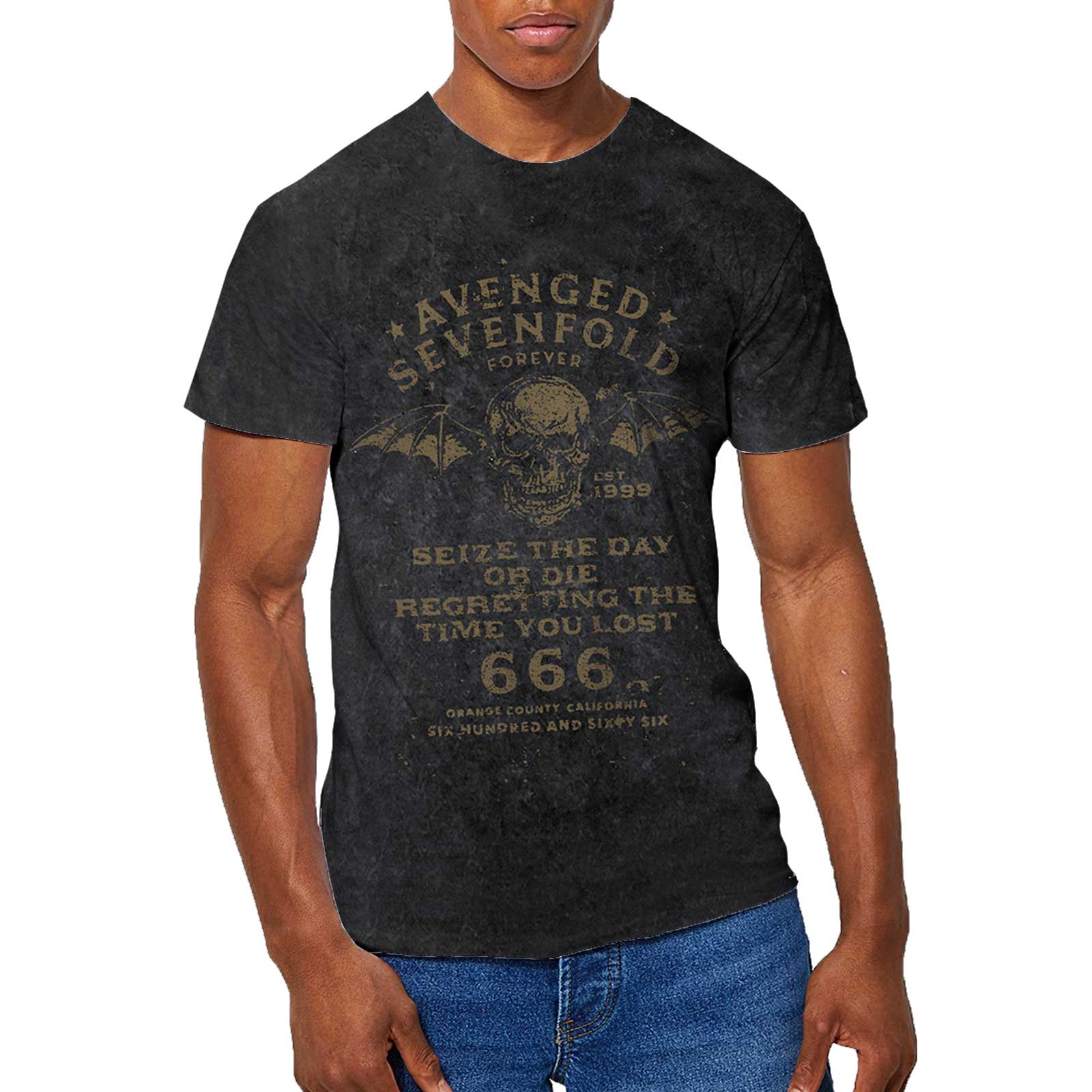 Avenged Sevenfold Unisex T-Shirt: Seize The Day (Wash Collection) (Medium)
