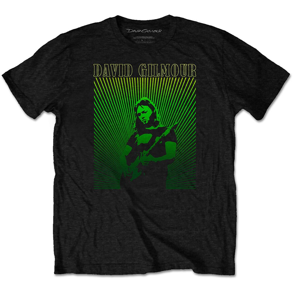 David Gilmour Unisex T-Shirt: Rays Gradient (Medium)