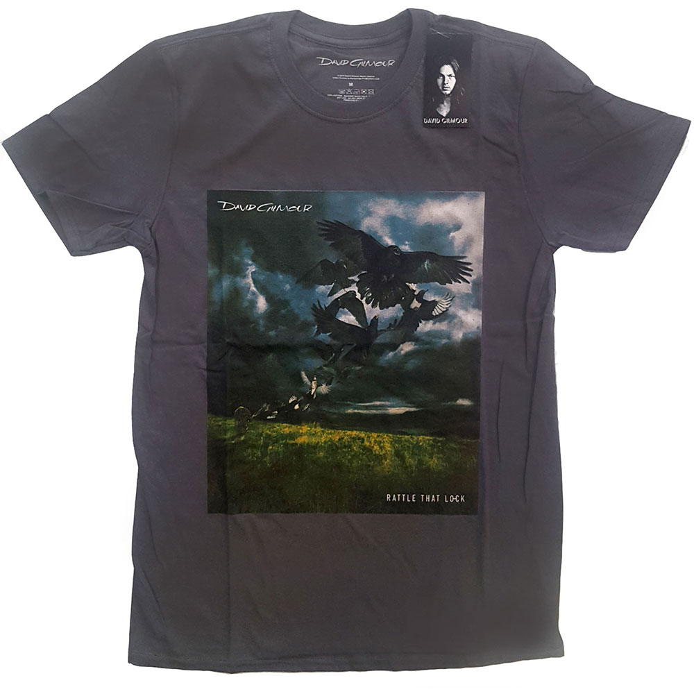 David Gilmour Unisex T-Shirt: Rattle That Lock (Medium)