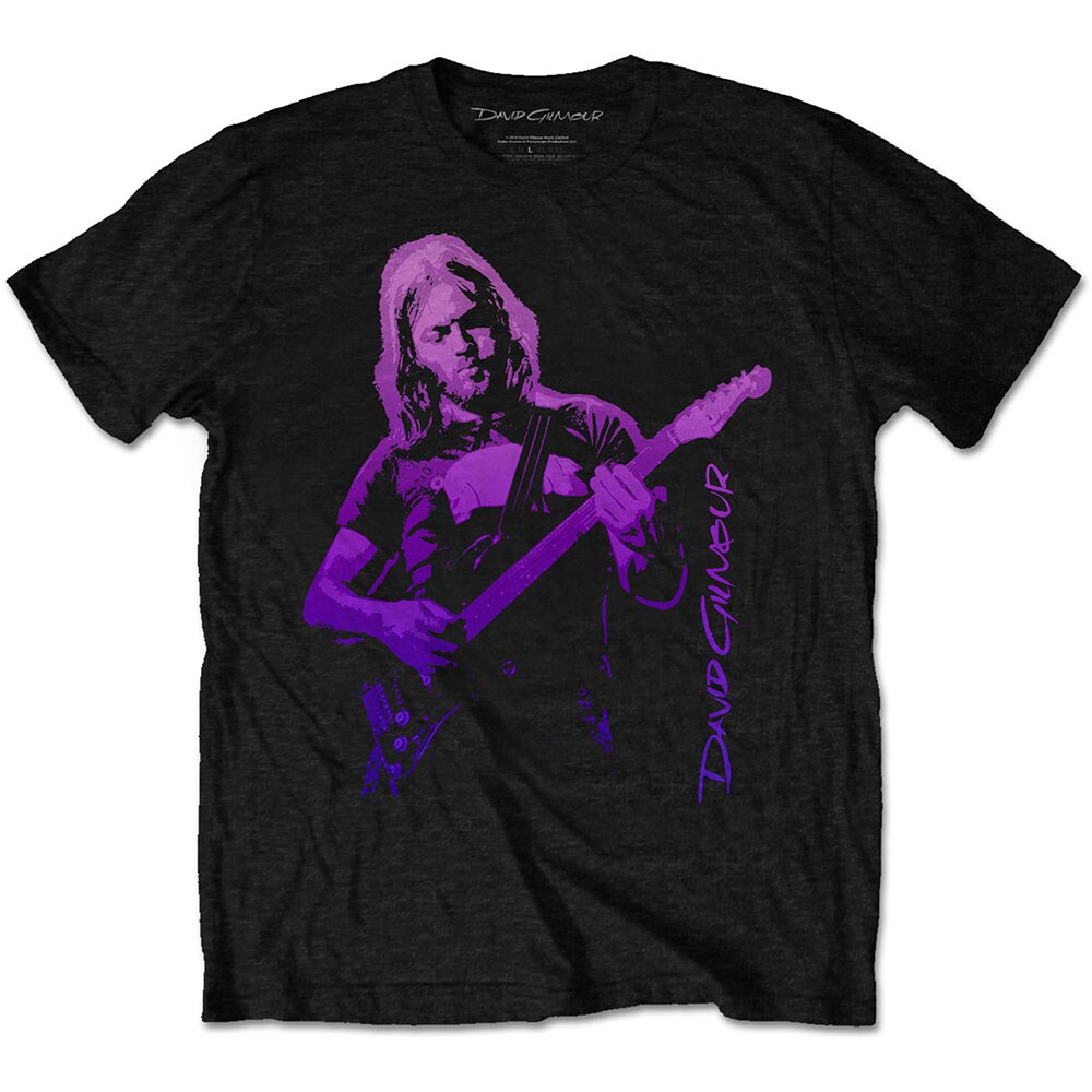 David Gilmour Unisex T-Shirt: Pig Gradient (Small)