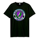 Grateful Dead: Stealie Tie Dye Amplified Vintage Charcoal X Large T Shirt