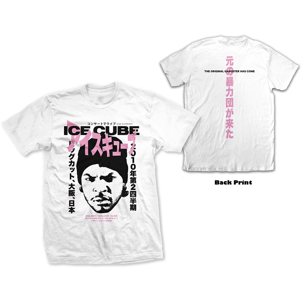 Ice Cube Unisex T-Shirt: Beanie Kanji (Back Print) (Small)