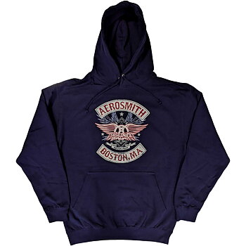 Aerosmith Unisex Pullover Hoodie: Boston Pride (Medium)