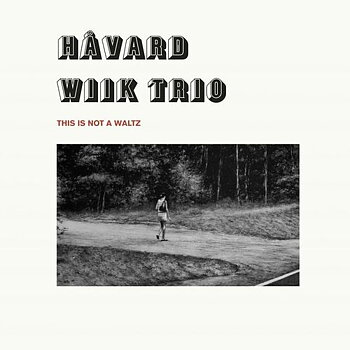 Håvard Wiik Trio: This Is Not A Waltz (Vinyl, LP)