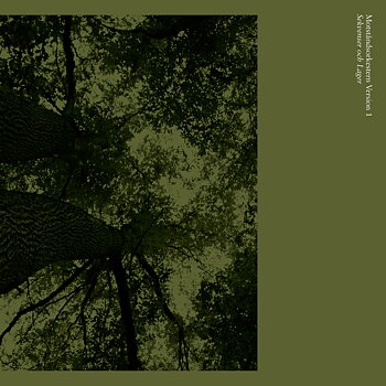 Motståndsorkestern Version 1: Sekvenser Och Lager (Vinyl, EP)