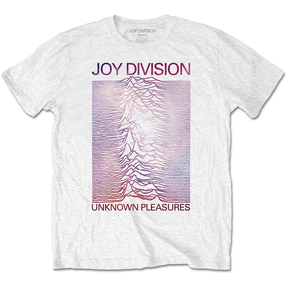 Joy Division Unisex T-Shirt: Space - Unknown Pleasures Gradient (Small)