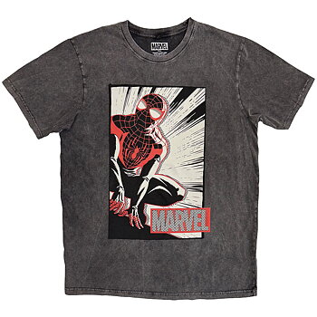 Marvel Comics Unisex Stone Wash T-Shirt: Spider-Man Crouch Cartoon (Charcoal Grey) (Medium)