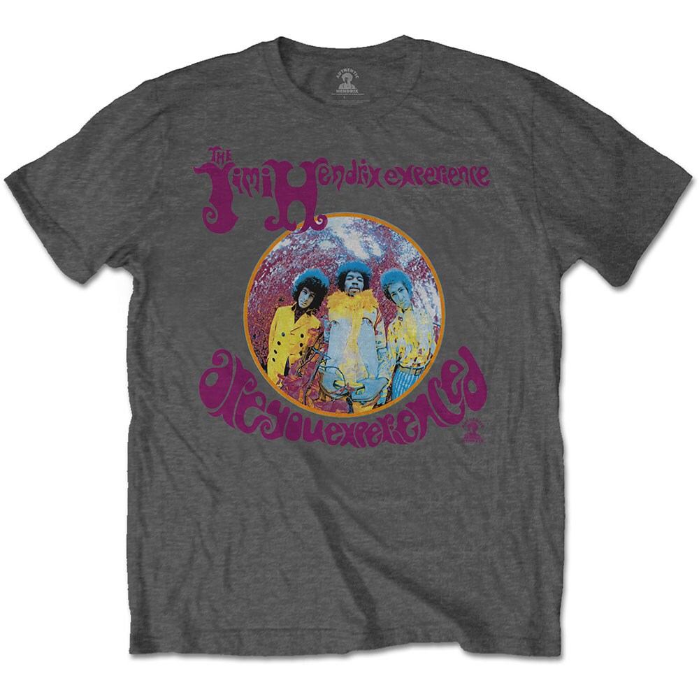 Jimi Hendrix Unisex T-Shirt: Are You Experienced? (Large)