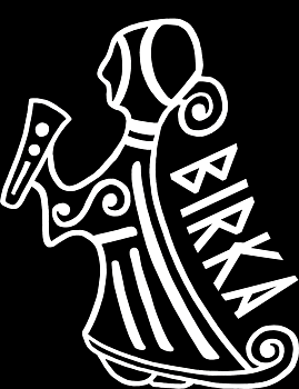 Hoodie: Valkyria - Hagbard - Viking Art Collection (Small)
