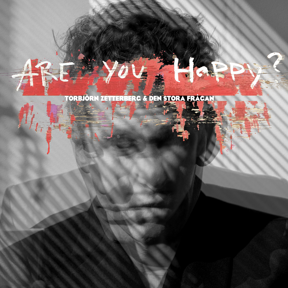 Zetterberg Torbjörn: Are You Happy? (Vinyl, LP)