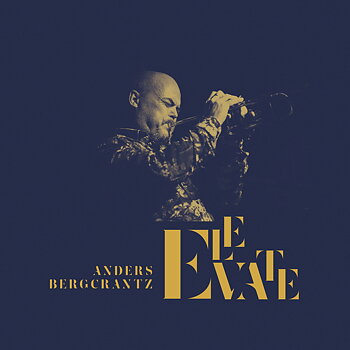 Anders Bergcrantz: Elevate (2LP, Vinyl)