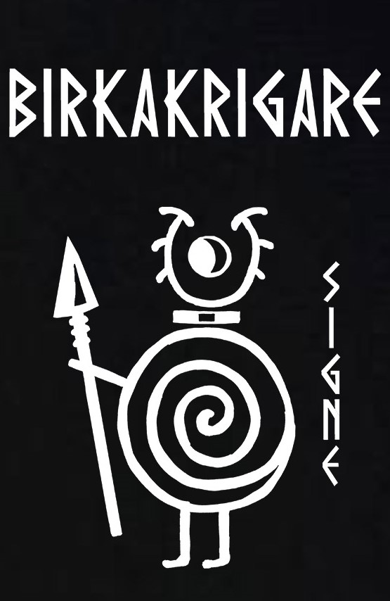 Kids t-shirt: Birka Warriors - Signe - Viking Art Collection (12-13 years) - 2