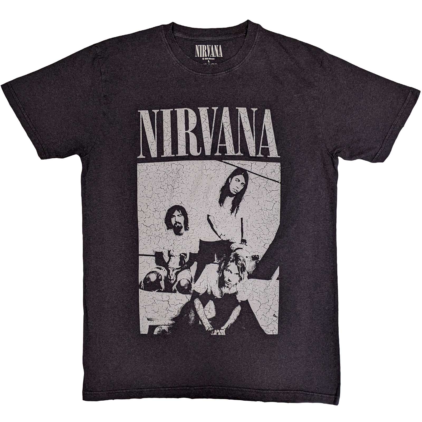 Nirvana Unisex T-Shirt: Sitting (Distressed) (Large)