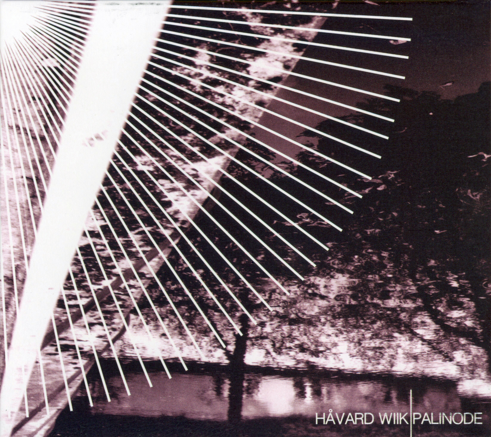 Wiik Håvard: Palinode (CD)