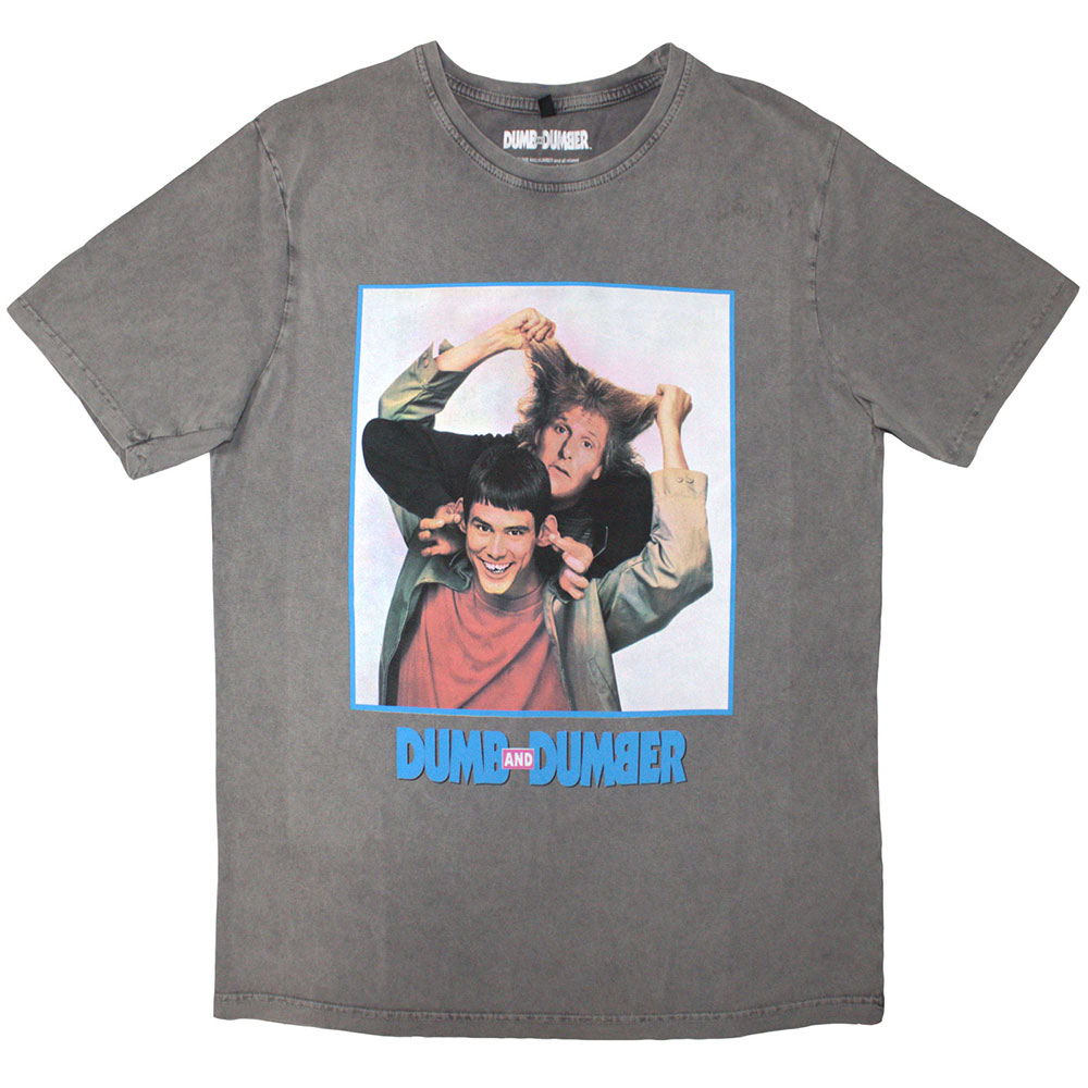 Dumb & Dumber Unisex Stone Wash T-Shirt: Movie Poster (Grey) (Medium)