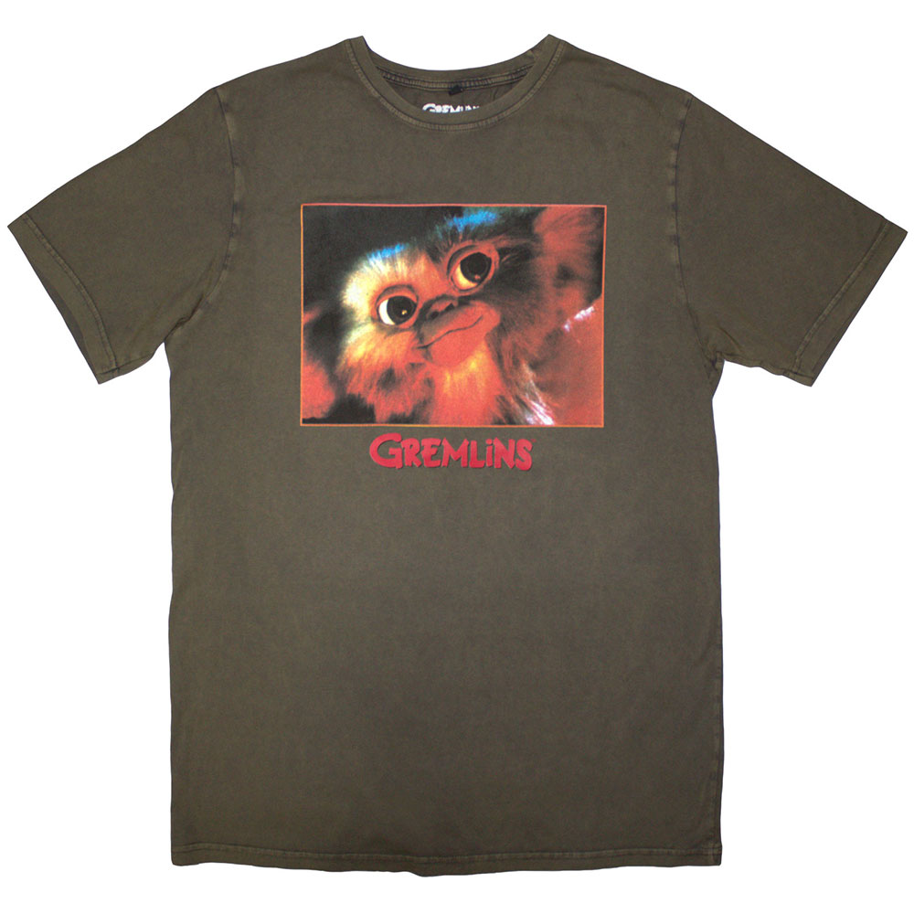 Gremlins Unisex Stone Wash T-Shirt: Gizmo Photo (Green) (Medium)