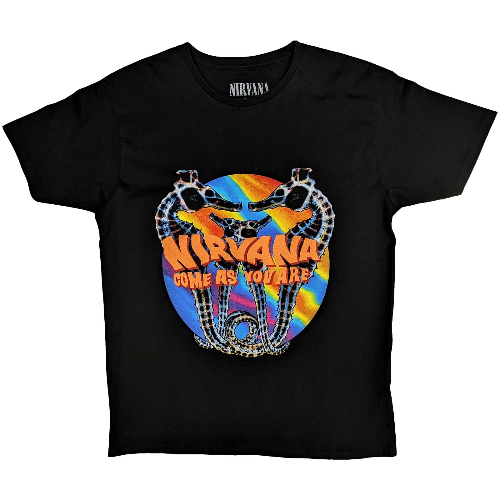 Nirvana Unisex T-Shirt: Come As You Are (XX-Large)