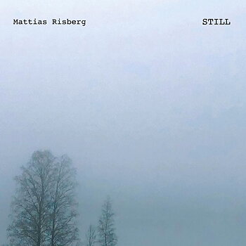 Mattias Risberg: Still (Vinyl, LP)