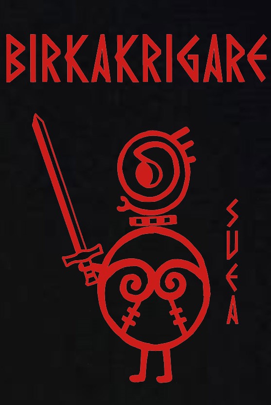 Kids t-shirt: Birka Warriors - Svea - Viking Art Collection (12-13 years) - 2