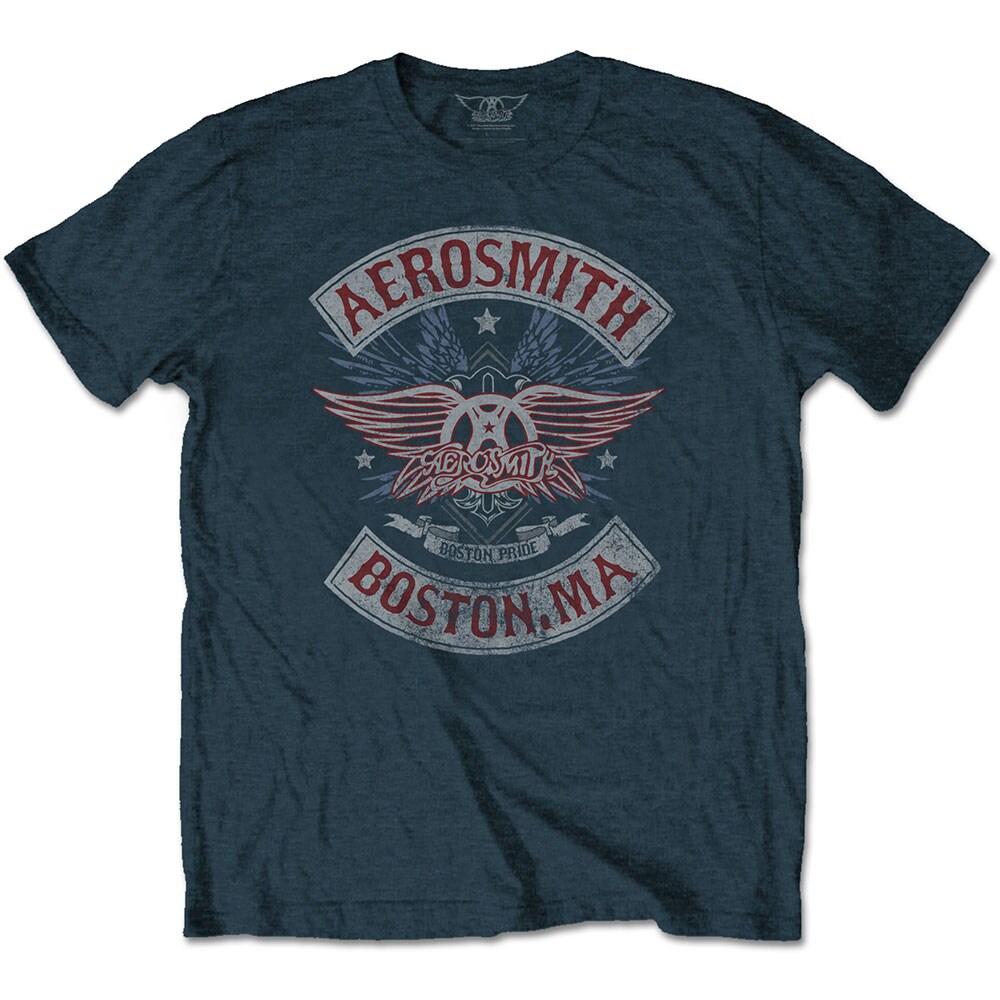 Aerosmith Unisex T-Shirt: Boston Pride (Medium) - 2