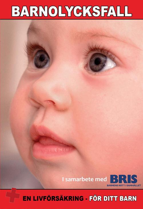Barnolycksfall: Barnolycksfall I Samarbete Med Bris (DVD) - 2