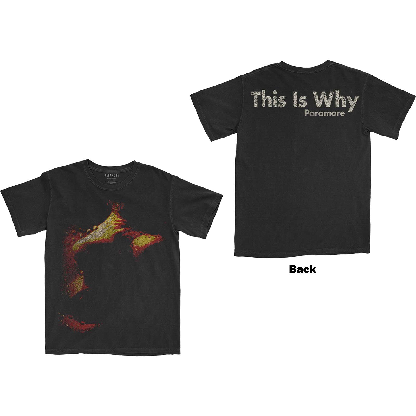 Paramore Unisex T-Shirt: This Is Why (Back Print) (Small)