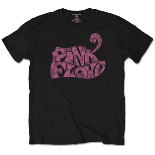 Pink Floyd Unisex T-Shirt: Swirl Logo (Small) - 2