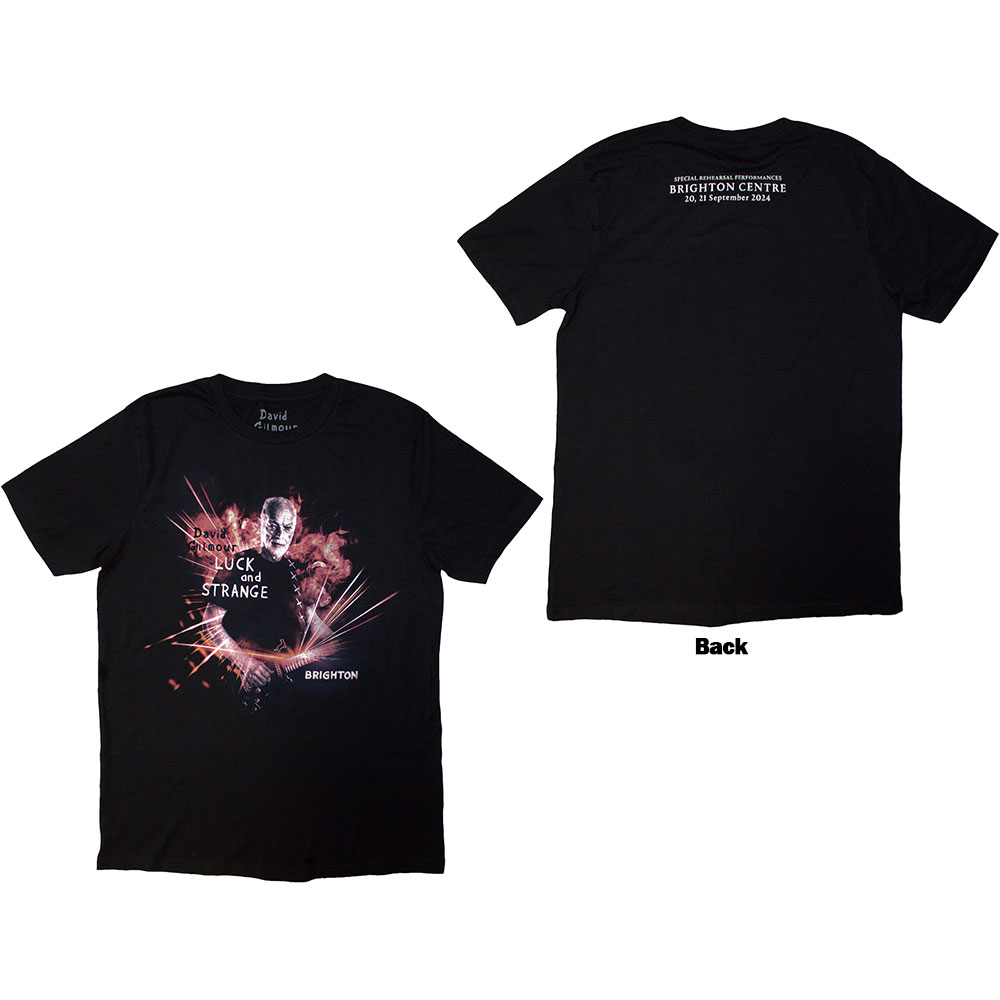 David Gilmour Unisex T-Shirt: Luck & Strange Brighton (Black) (Back Print & Ex-Tour) (Medium)