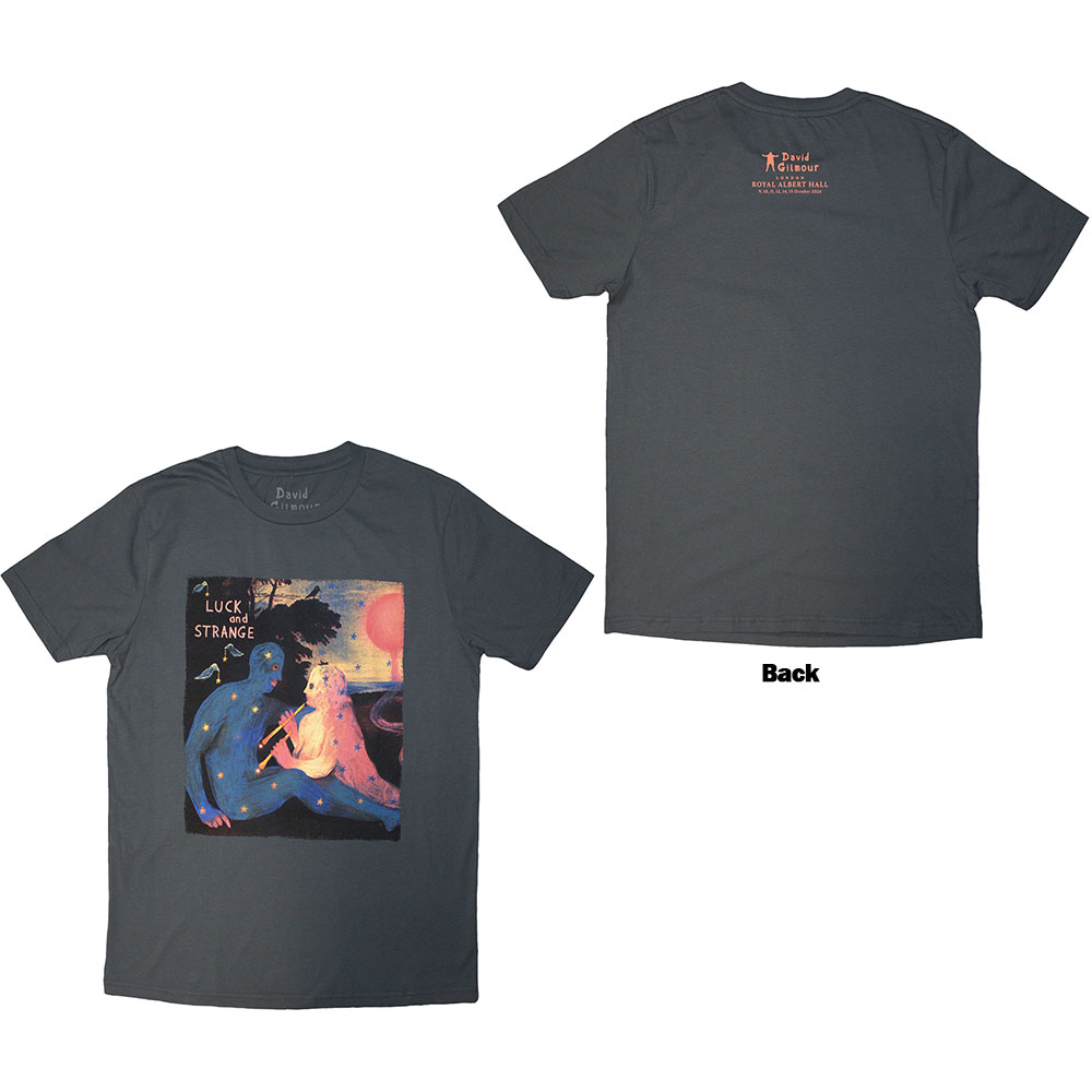 David Gilmour Unisex T-Shirt: Luck & Strange London 2 (Grey) (Back Print & Ex-Tour) (Large)