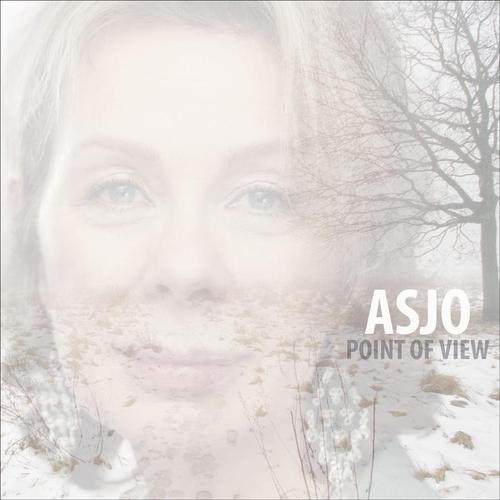 Asjo (Ann-Sofi Söderqvist Jazz Orcherstra): Point Of View (CD)