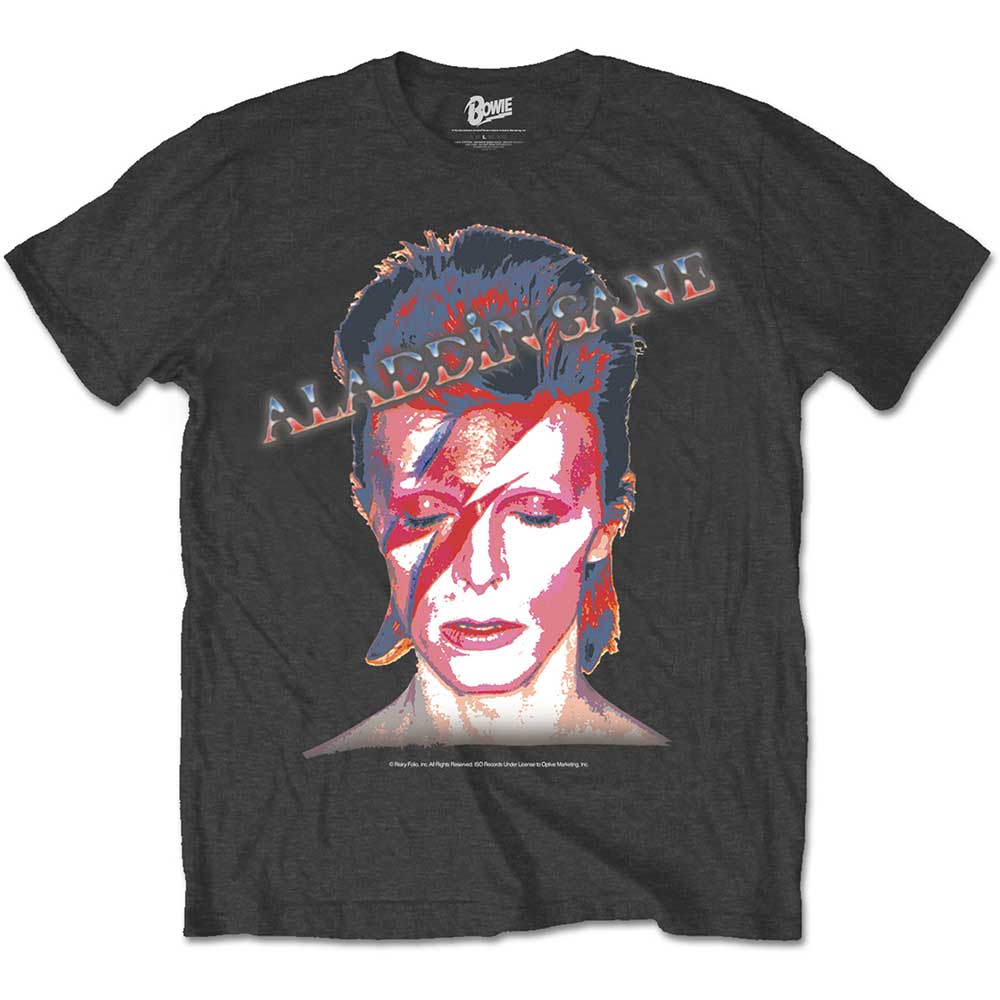 David Bowie Unisex T-Shirt: Aladdin Sane (Small)