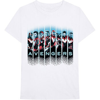 Marvel Comics Unisex T-Shirt: Avengers Portraits (Medium)