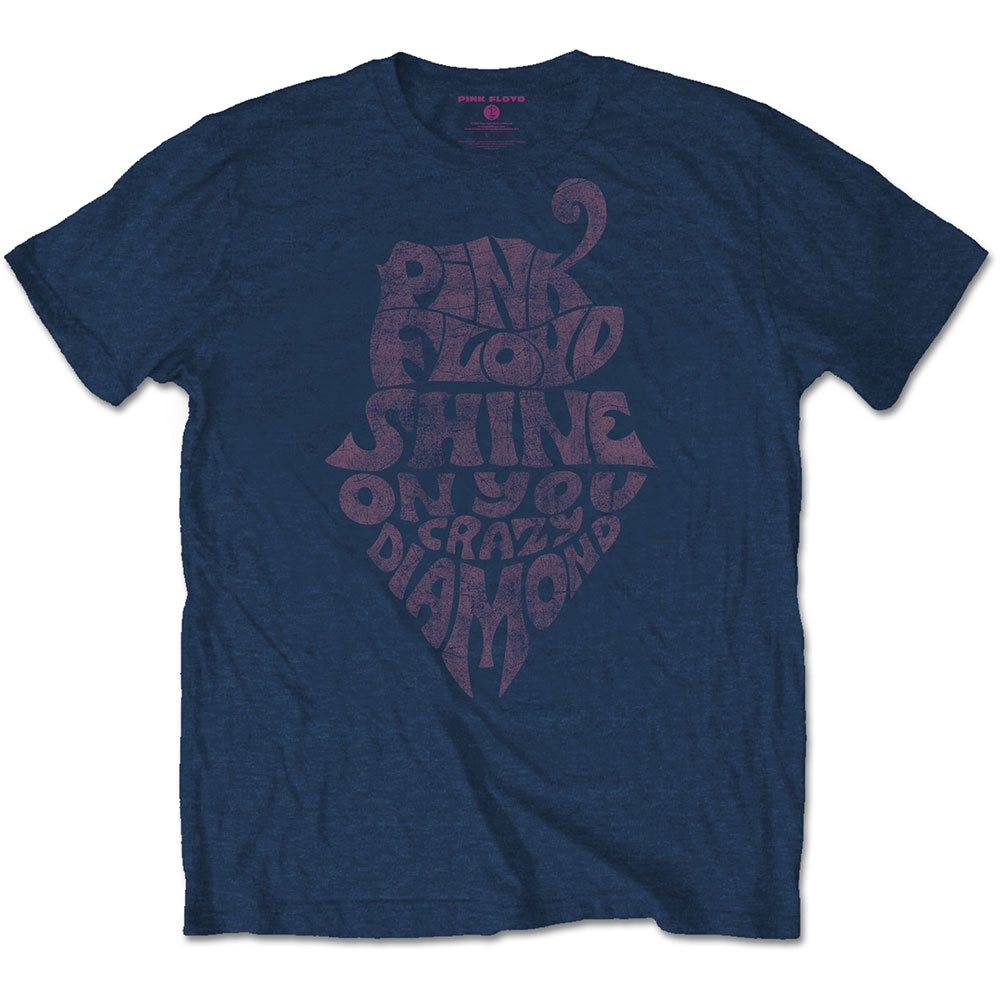 Pink Floyd Unisex T-Shirt: SOYCD Vintage (Medium)