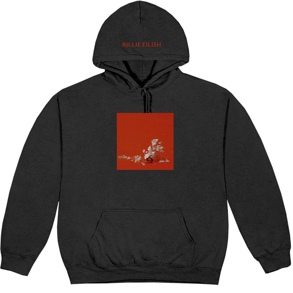Billie Eilish Unisex Pullover Hoodie: Therefore I Am (Small)