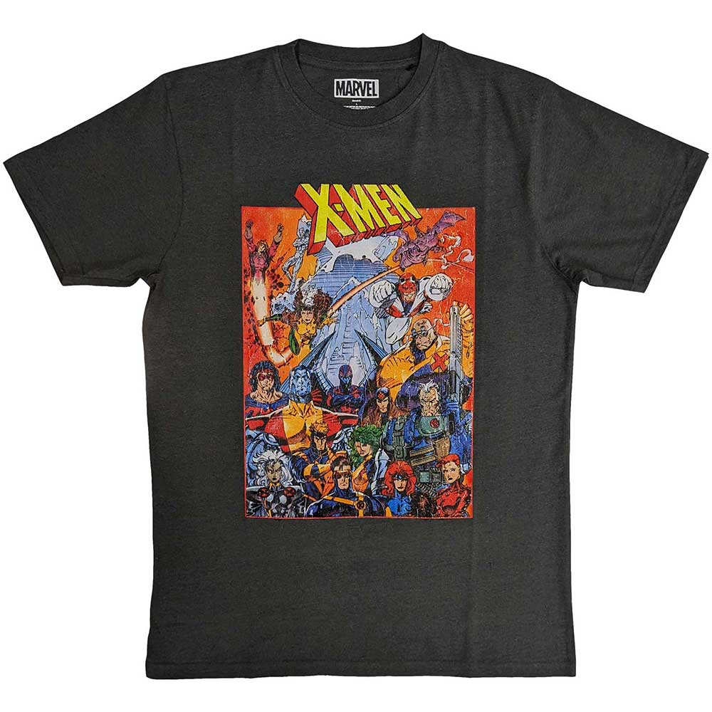 Marvel Comics Unisex T-Shirt: X-Men Full Characters (Small)