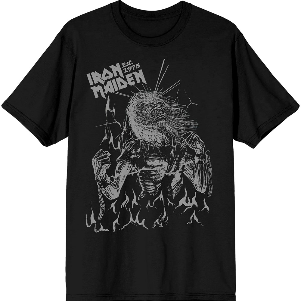 Iron Maiden Unisex T-Shirt: Est. 1975 Life After Death Flames (Black) (X-Large)