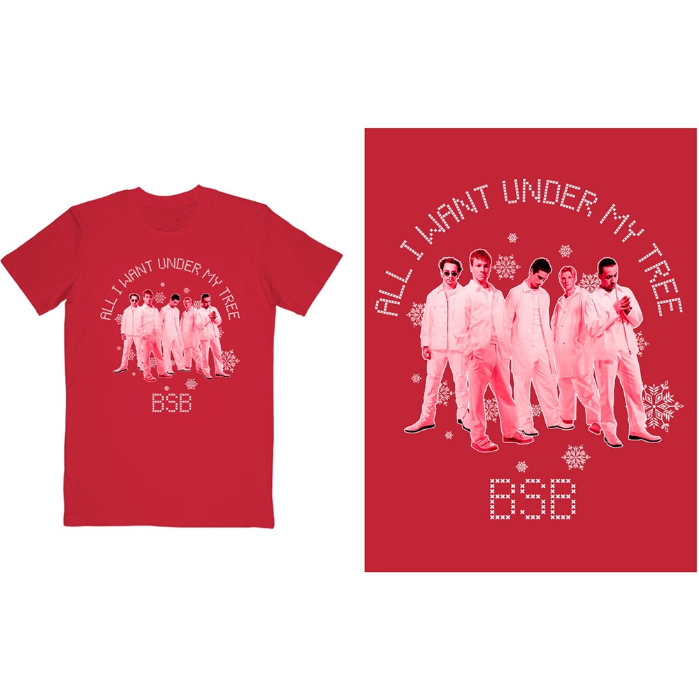 Backstreet Boys Unisex T-Shirt: All I Want Xmas (Small)