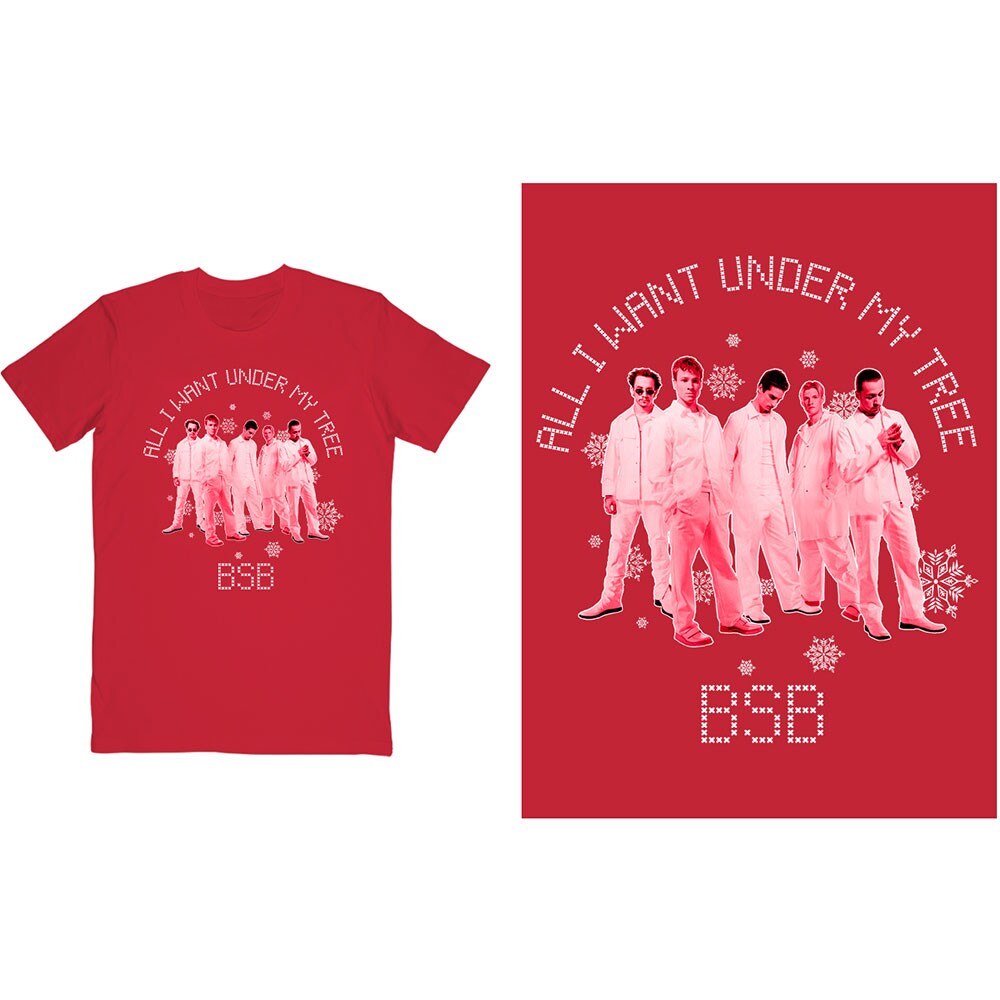 Backstreet Boys Unisex T-Shirt: All I Want Xmas (Medium)