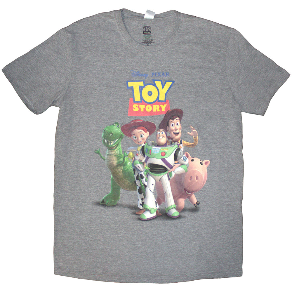 Disney Unisex T-Shirt: Toy Story Characters Distressed (Grey) (XX-Large)