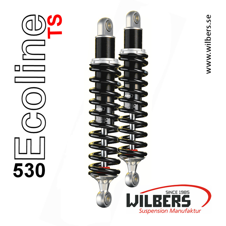 Wilbers Ecoline 530 TS Road (par), Yamaha XJR 400 93>