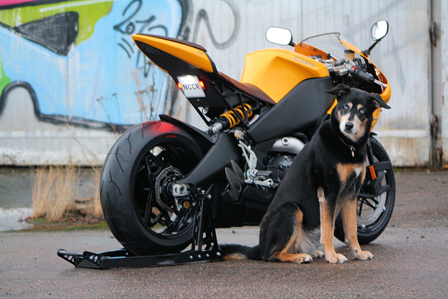 EBR 1190 RX / SX, Tail Tidy Kit 3 Undertail mounted with plate light, taillights & blinkers