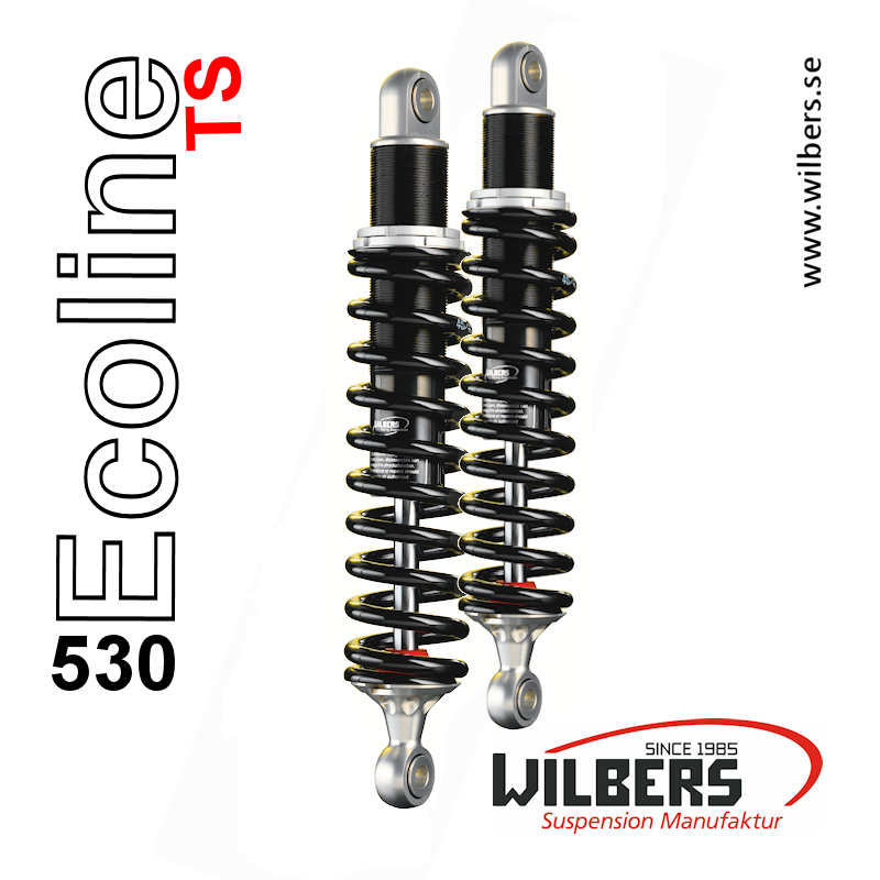 Wilbers Ecoline 530 TS Road, MAICO RS 125 Racing , MY 68>