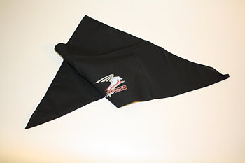 Pegasus Raceteam Bandana
