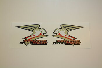 Pegasus Raceteam Aufkleber "M"
