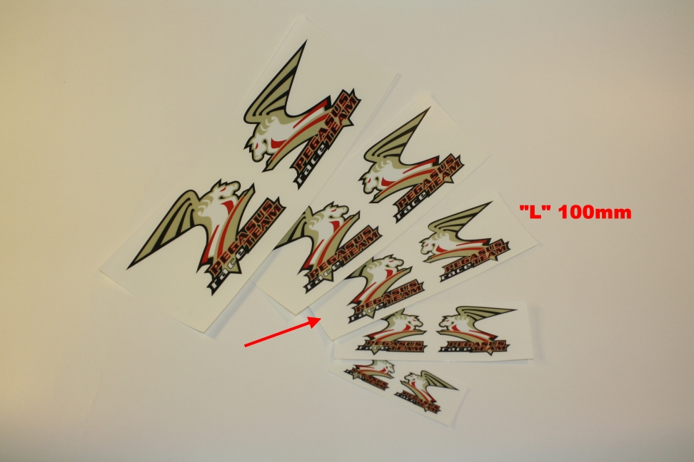 Pegasus Raceteam Aufkleber "L" - 2