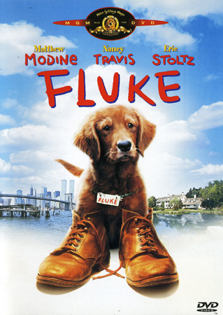 Fluke (ej svensk text)